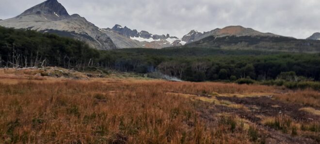 Charla “Nuestra Ushuaia. Naturaleza única”