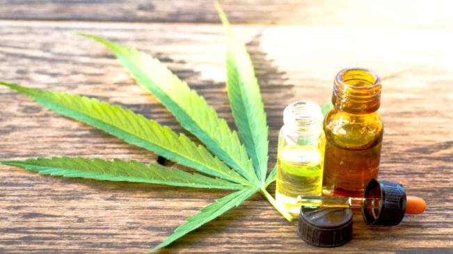 Gobierno realizará charlas sobre regulación nacional del cannabis con fines medicinales