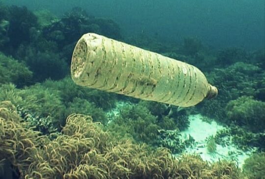 Declaran de interés provincial la limpieza del lecho submarino del canal Beagle