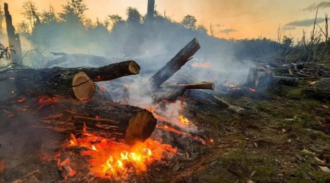 Se sumaron 30 brigadistas para combatir el incendio forestal que azota a la provincia