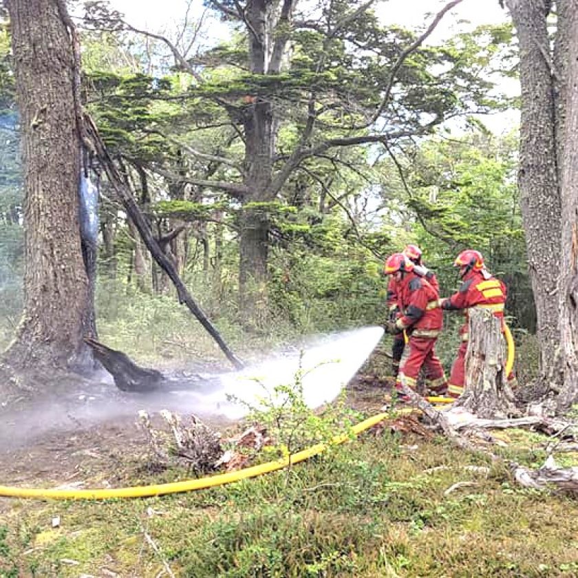 La Municipalidad de Ushuaia denunció judicialmente un incendio intencional en el barrio Río Pipo