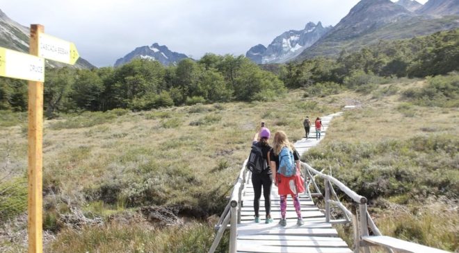 Previaje 4: cuáles son los cambios que analiza el Gobierno nacional