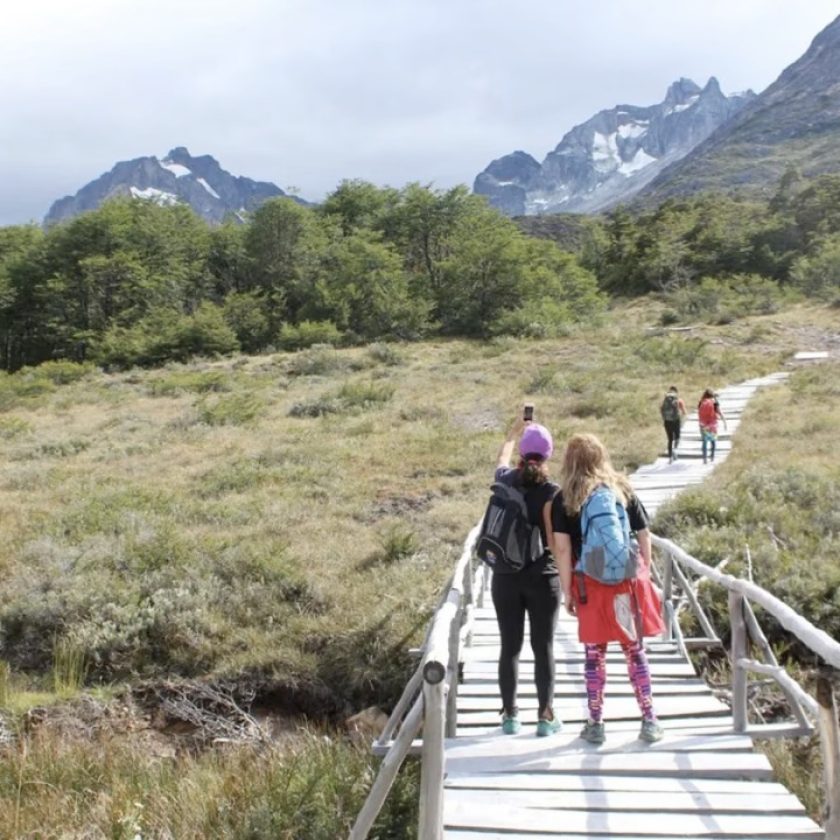 Previaje 4: cuáles son los cambios que analiza el Gobierno nacional