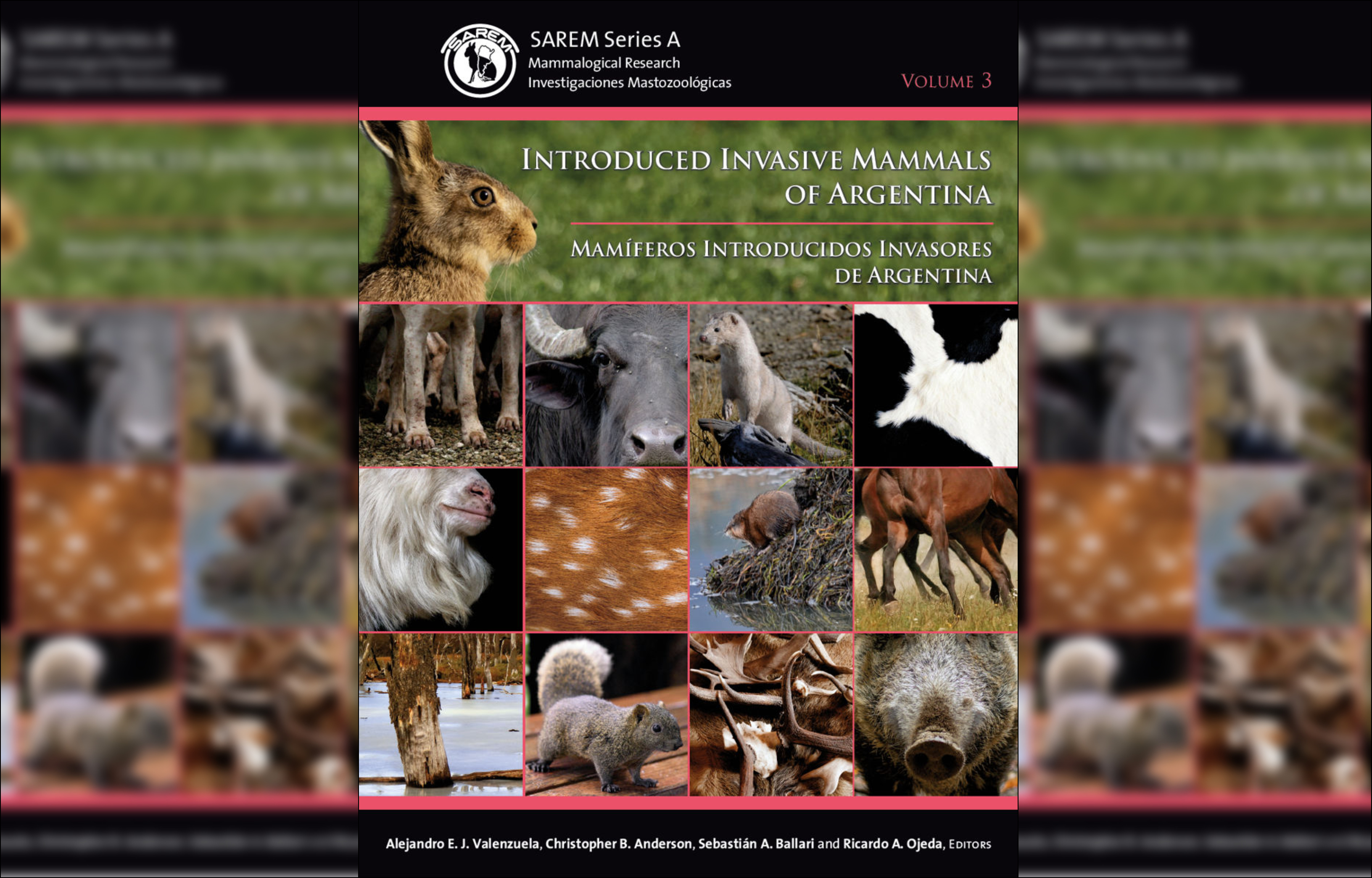 Publicaron el primer libro sobre los mamíferos introducidos invasores de la Argentina
