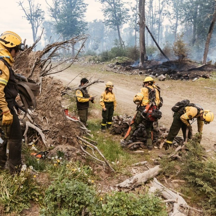A 34 días del inicio del incendio en la Reserva Corazón de la Isla, la causa no arranca