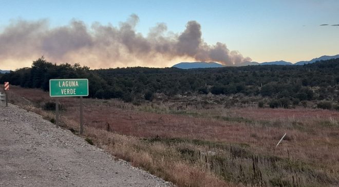 Un nuevo incendio arrasa el bosque fueguino