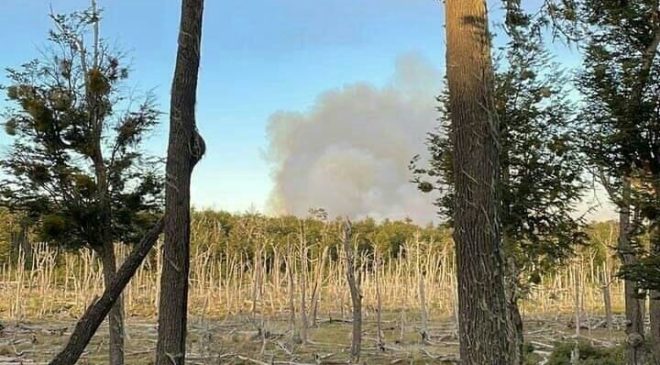 Un nuevo incendio arrasa el bosque fueguino
