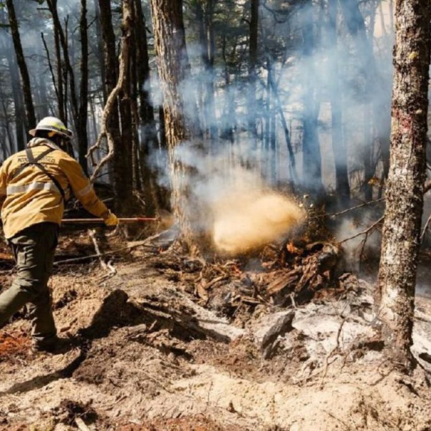 Se encuentra oficialmente extinguido el incendio declarado en la zona del río Lainez