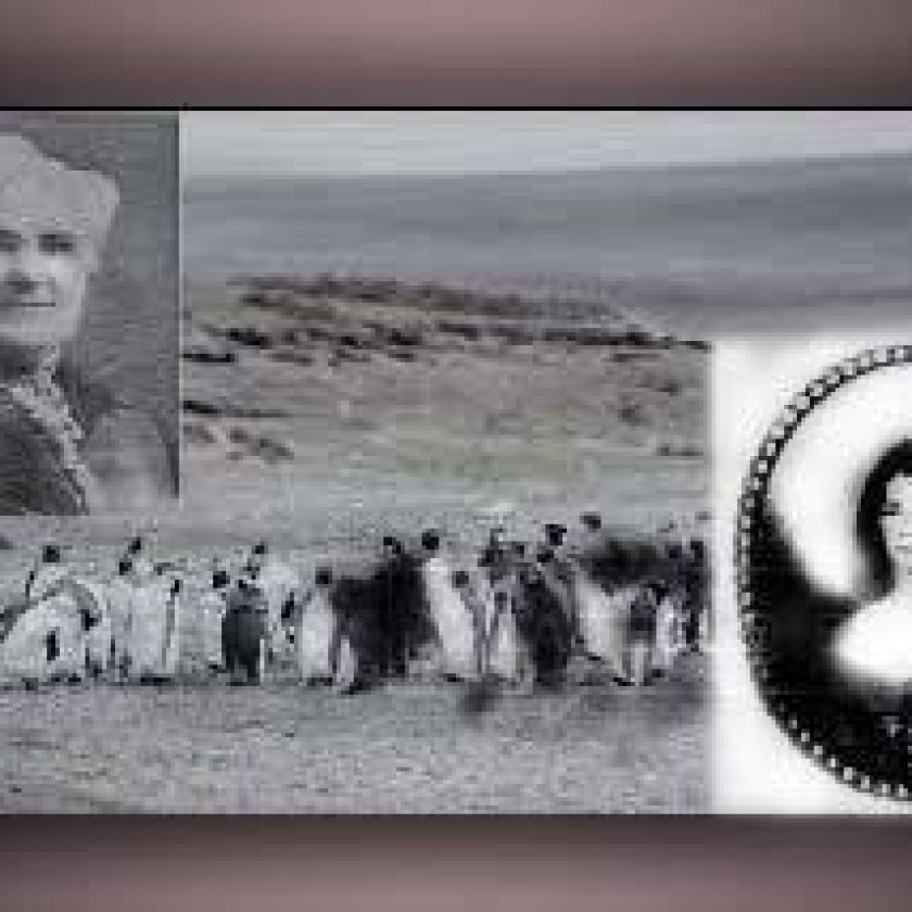 Parir en Malvinas: Retrato de una mujer singular