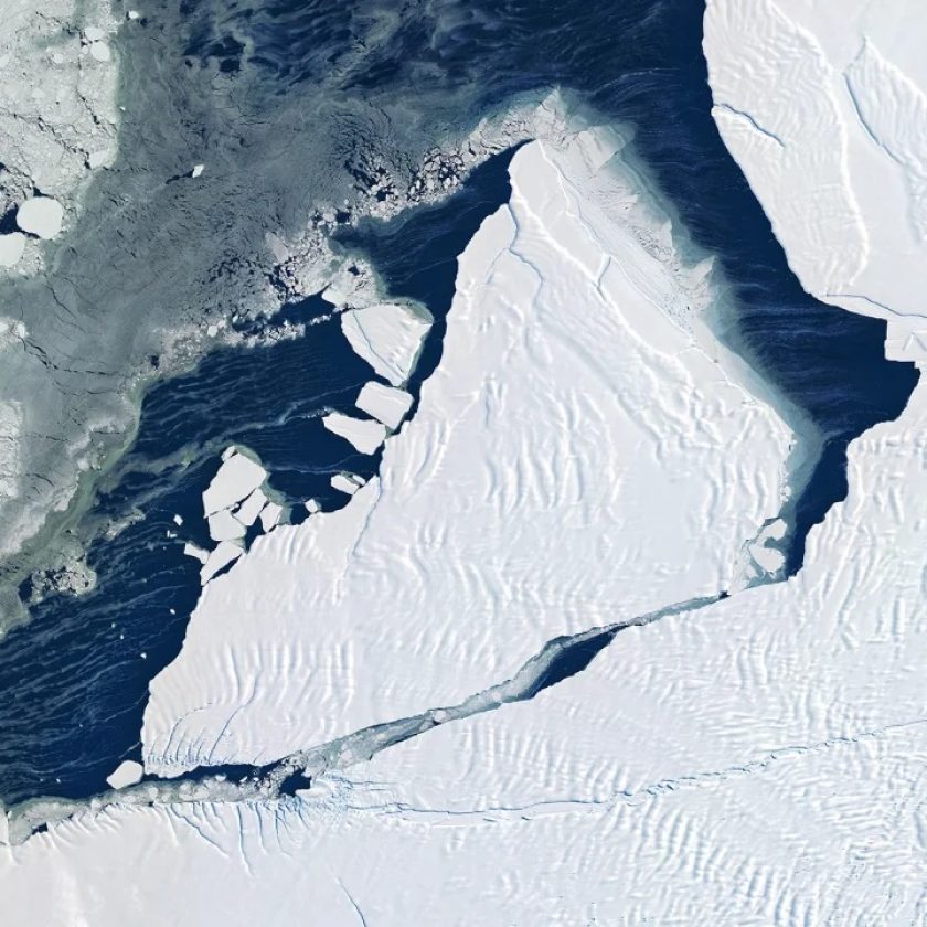 La Antártida perdió un pedazo de hielo del tamaño de la Argentina
