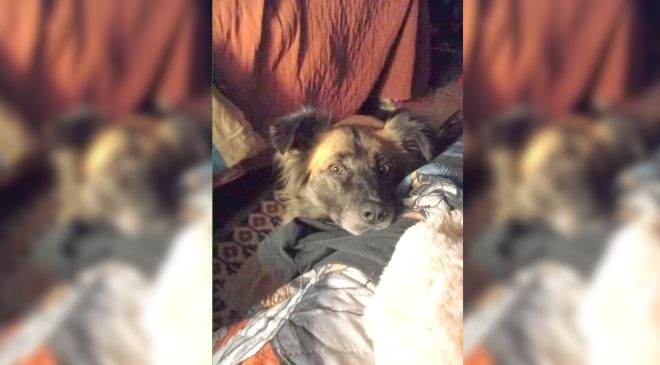 Una embarazada y su hijo quedaron sepultados por la nieve
