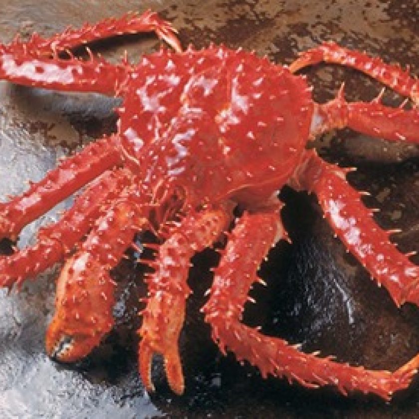 La identidad gastronómica de Ushuaia en riesgo de muerte