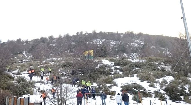 Instalaron 20 casillas en una reserva natural