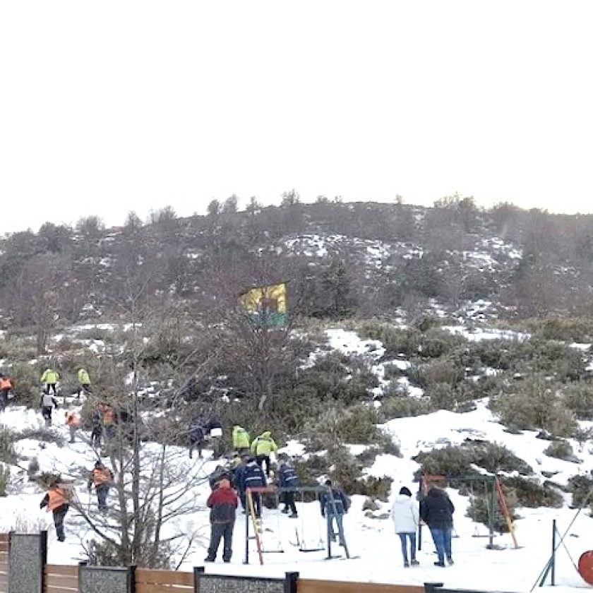 Instalaron 20 casillas en una reserva natural