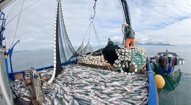 Tierra del Fuego y las provincias patagónicas contra la regulación pesquera