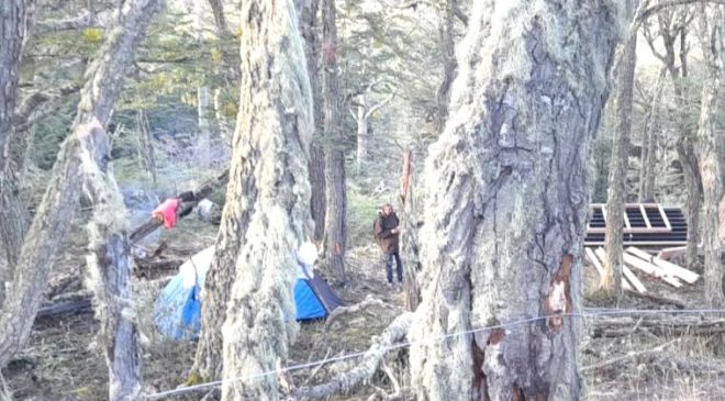 El último fin de semana decenas de personas intentaron instalarse en el bosque