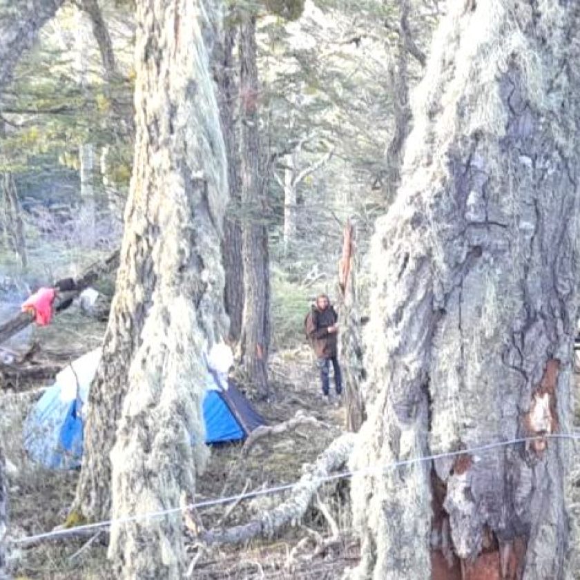 El último fin de semana decenas de personas intentaron instalarse en el bosque