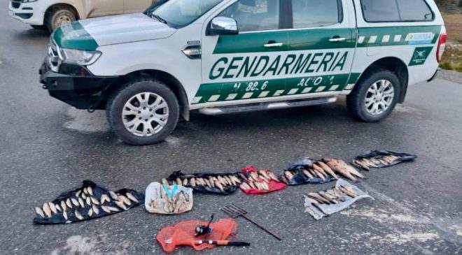 Descubrieron 125 truchas pescadas ilegalmente y las destruyeron con lavandina