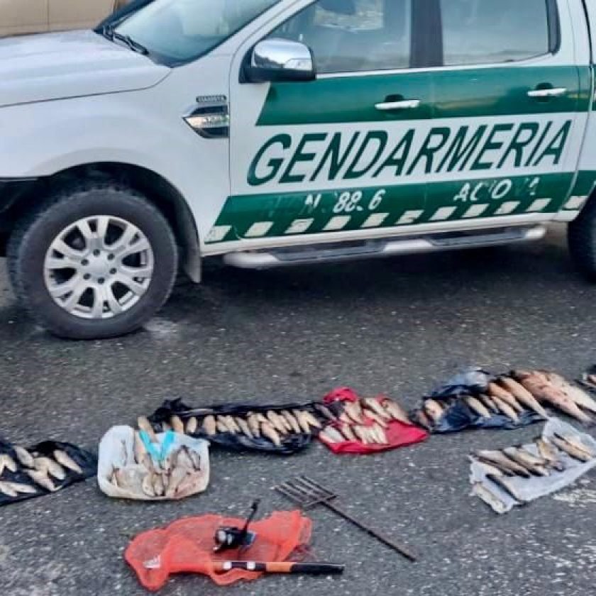 Descubrieron 125 truchas pescadas ilegalmente y las destruyeron con lavandina