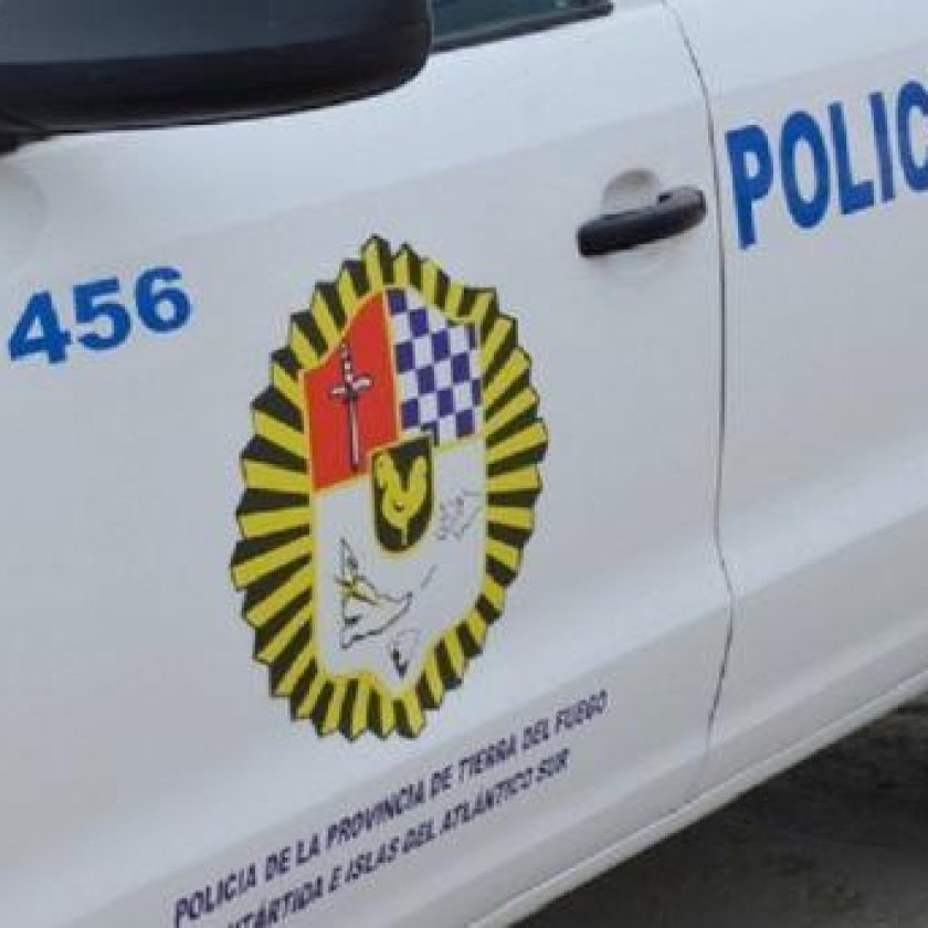 Policías fueron por un hurto a una casa y encontraron un vivero de marihuana
