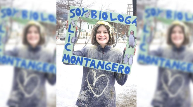“¿Por qué se estresan los pingüinos?”
