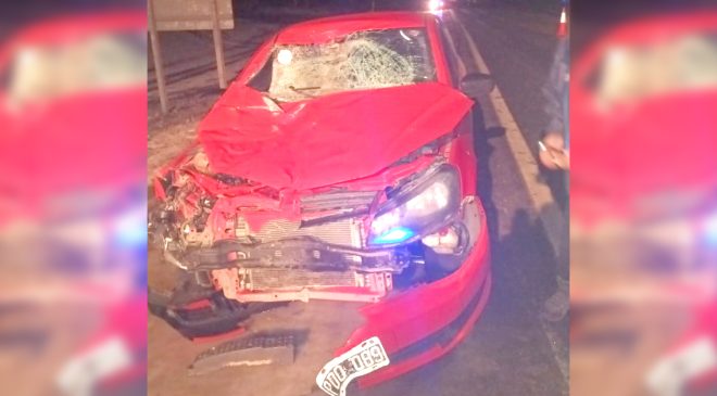 Vehículo con tres ocupantes embistió a un caballo