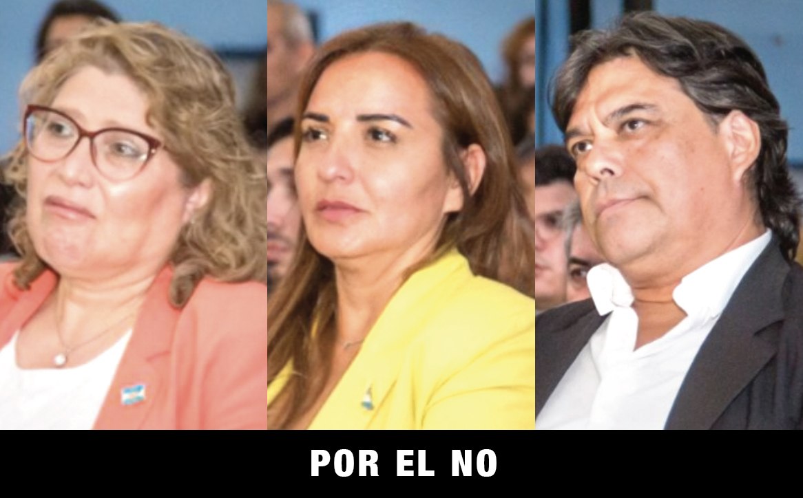 Así votaron los diputados fueguinos sobre el veto de Milei