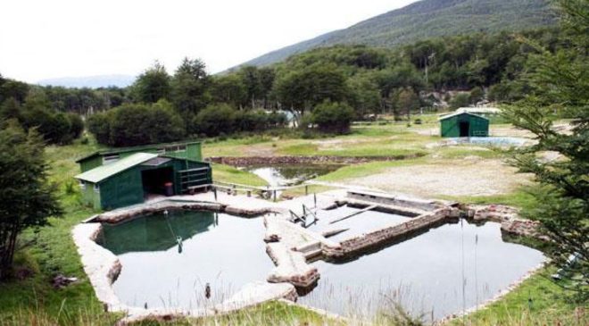 Ordenan echar de una buena vez a quienes intrusan las termas del Río Valdez