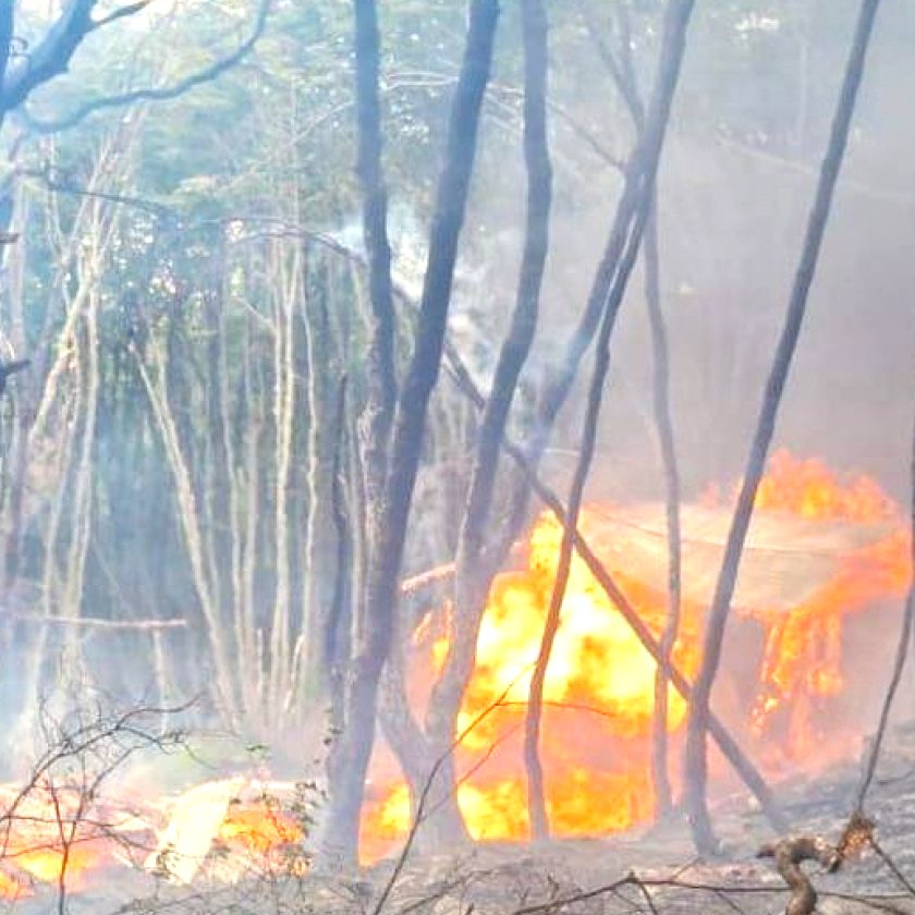 Ushuaia, en riesgo constante por incendios de interfase