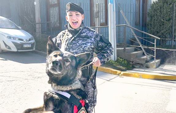 PHOTO-2025-06-11-20-12-00-e1749685950279