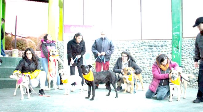 Este domingo, en el Centro Comunitario del barrio Perón, en Río Grande.