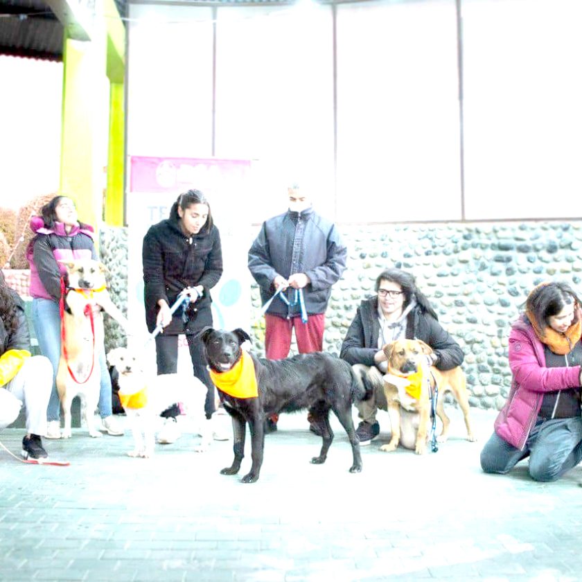 Este domingo, en el Centro Comunitario del barrio Perón, en Río Grande.