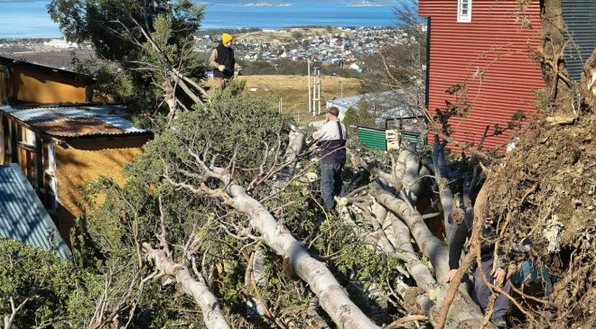 Operativos de limpieza en Ushuaia tras el temporal