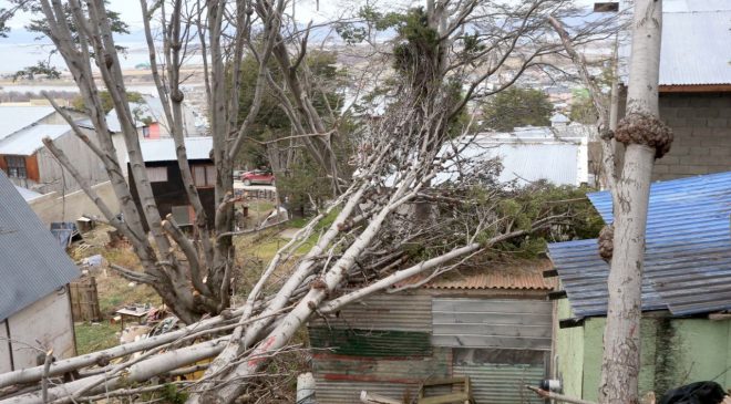 Operativos de limpieza en Ushuaia tras el temporal