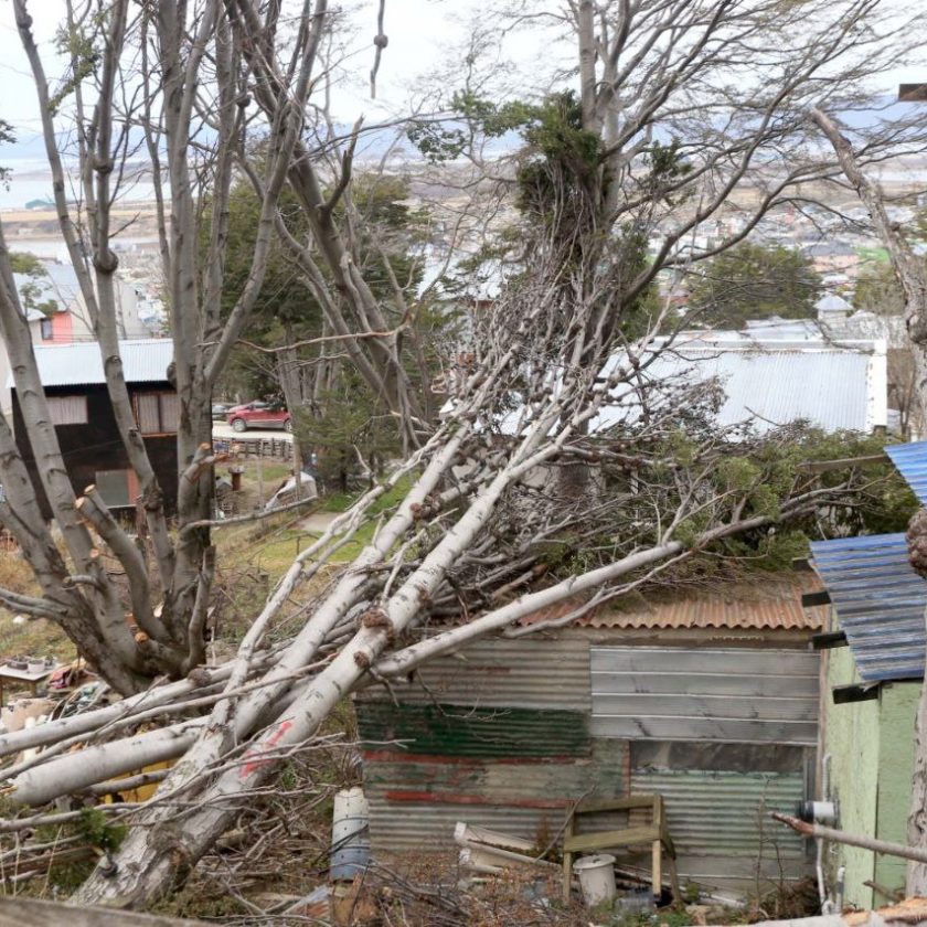 Operativos de limpieza en Ushuaia tras el temporal