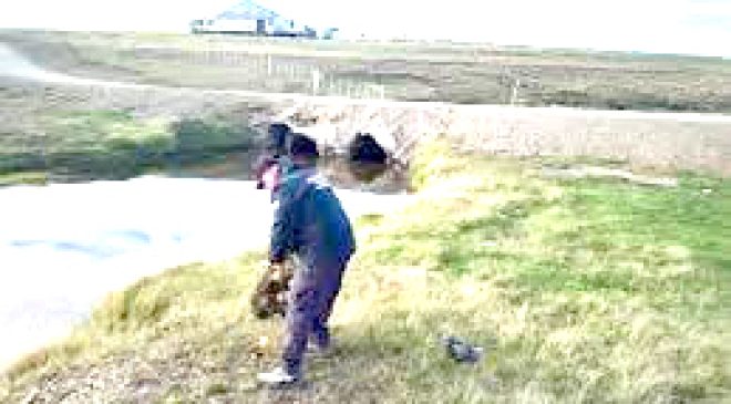 Hallan restos óseos humanos en la zona del río Ewan