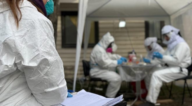 No detectaron presencia del ratón colilargo durante el operativo por hantavirus en Ushuaia