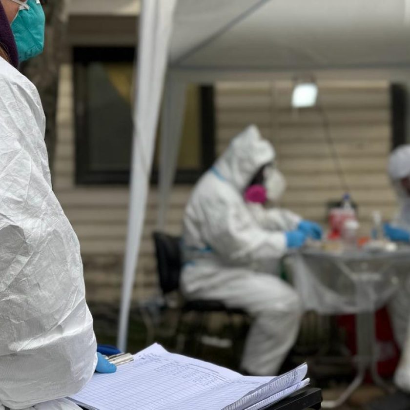 No detectaron presencia del ratón colilargo durante el operativo por hantavirus en Ushuaia