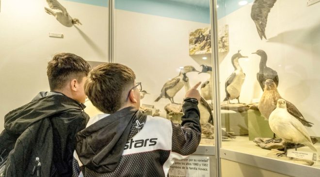 Cultura: la discusión que nos debemos